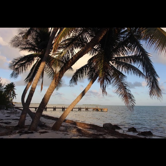 Meet your Posher, Keagan - Picture 1 of 1